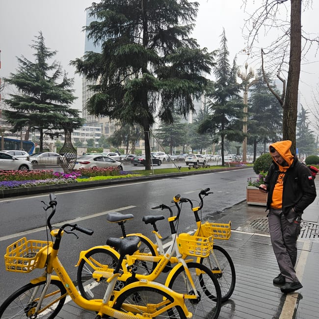 Żółte rowery miejskie na mokrym chodniku w chengdu, obok stojący mężczyzna w pomarańczowej bluzie.
