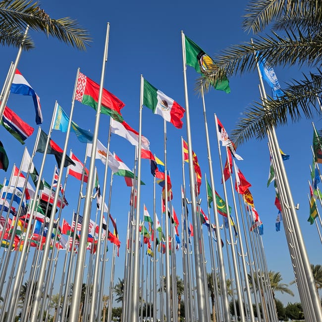 Doha flag plaza w katarze z licznymi flagami na wysokich masztach pod błękitnym niebem.