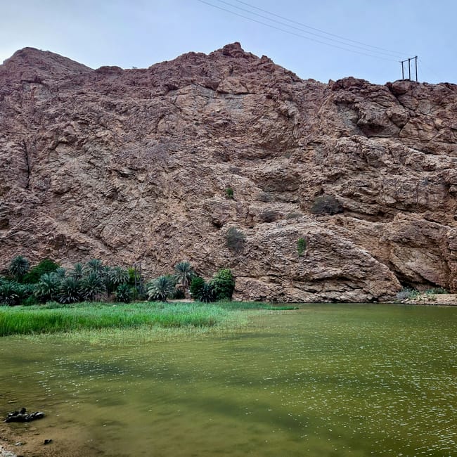 Wadi shab w omanie – skaliste zbocze nad zieloną wodą, z palmami u podnóża.
