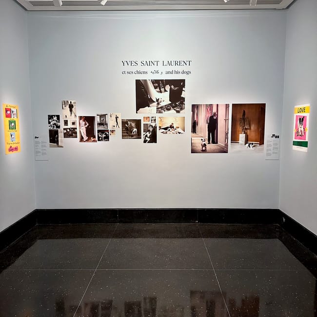 Yves saint laurent museum in marrakesh—white gallery wall with fashion photo displays and black floor