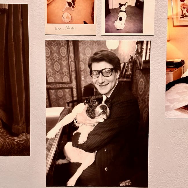 Yves saint laurent museum in marrakesh, morocco, displays vintage photos of yves saint laurent with his dog