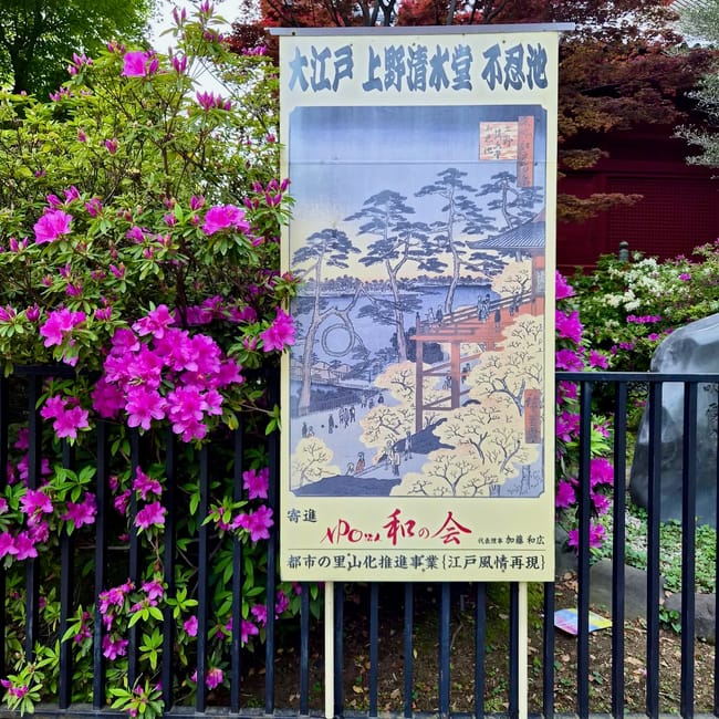Plansza w parku ueno w tokio z grafiką i różowymi azaliami, z japońskim napisem