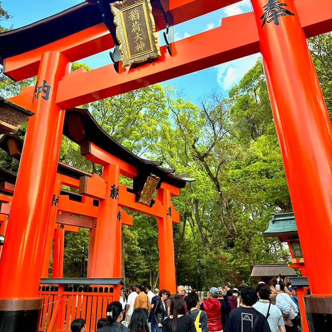Fushimi inari-taisha w kioto, czerwone bramy torii z tłumem zwiedzających