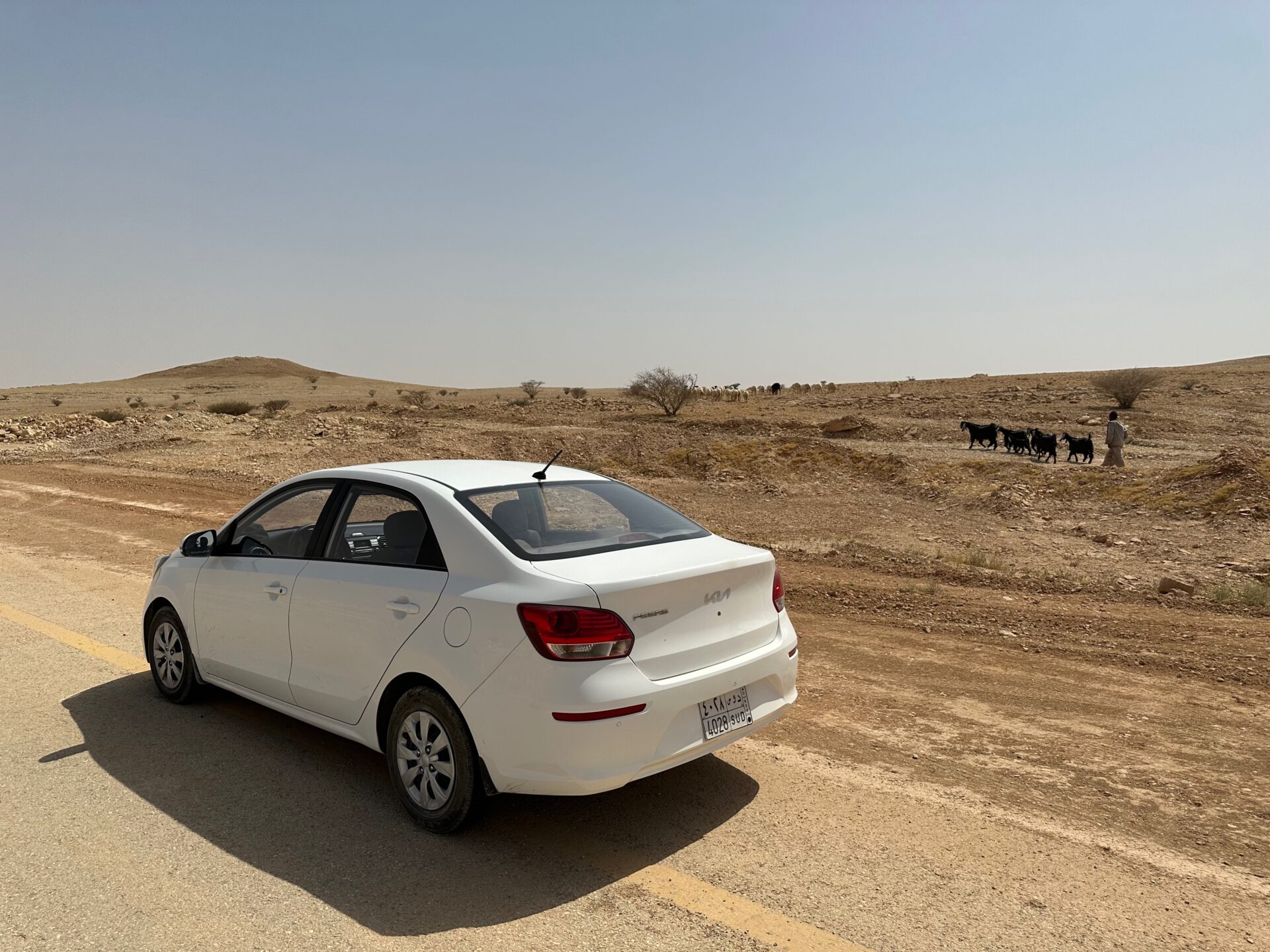 Saudi Arabia, Rented car