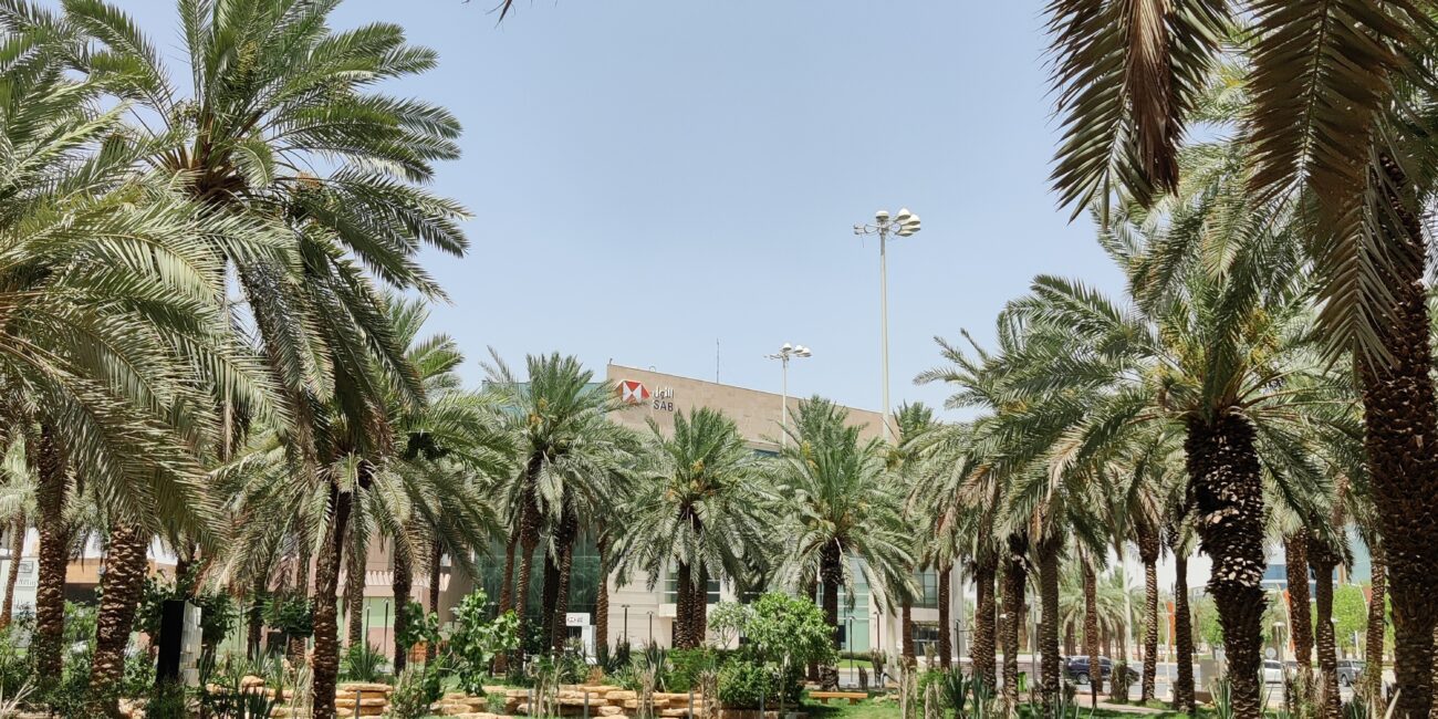 Saudi Arabia, Riyadh Najd Oasis