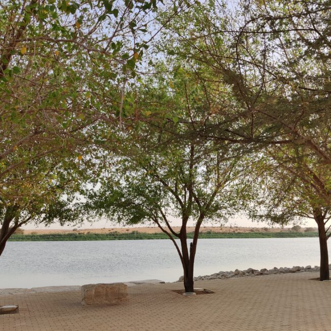 Saudi Arabia, Riyadh Al-Hayer Park Lake