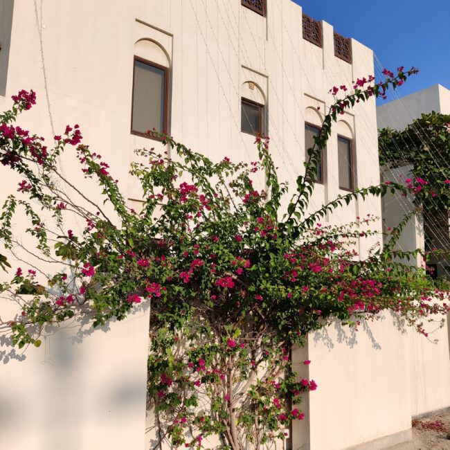 Bahrain, Diyar Al Muharraq