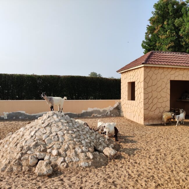 Bahrain, Al Areen Wildlife Park
