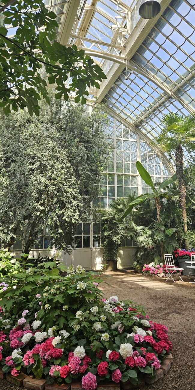 Austria, Vienna Palm House