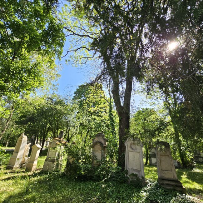 Austria, Vienna St. Marx Cemetery