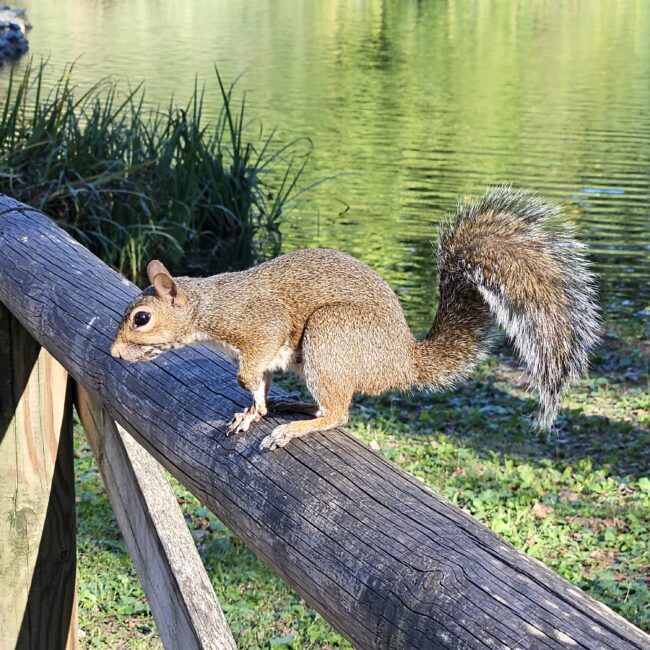 Italy, Milano Parco Sempione