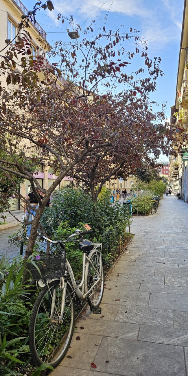 Italy, Milano Chinatown