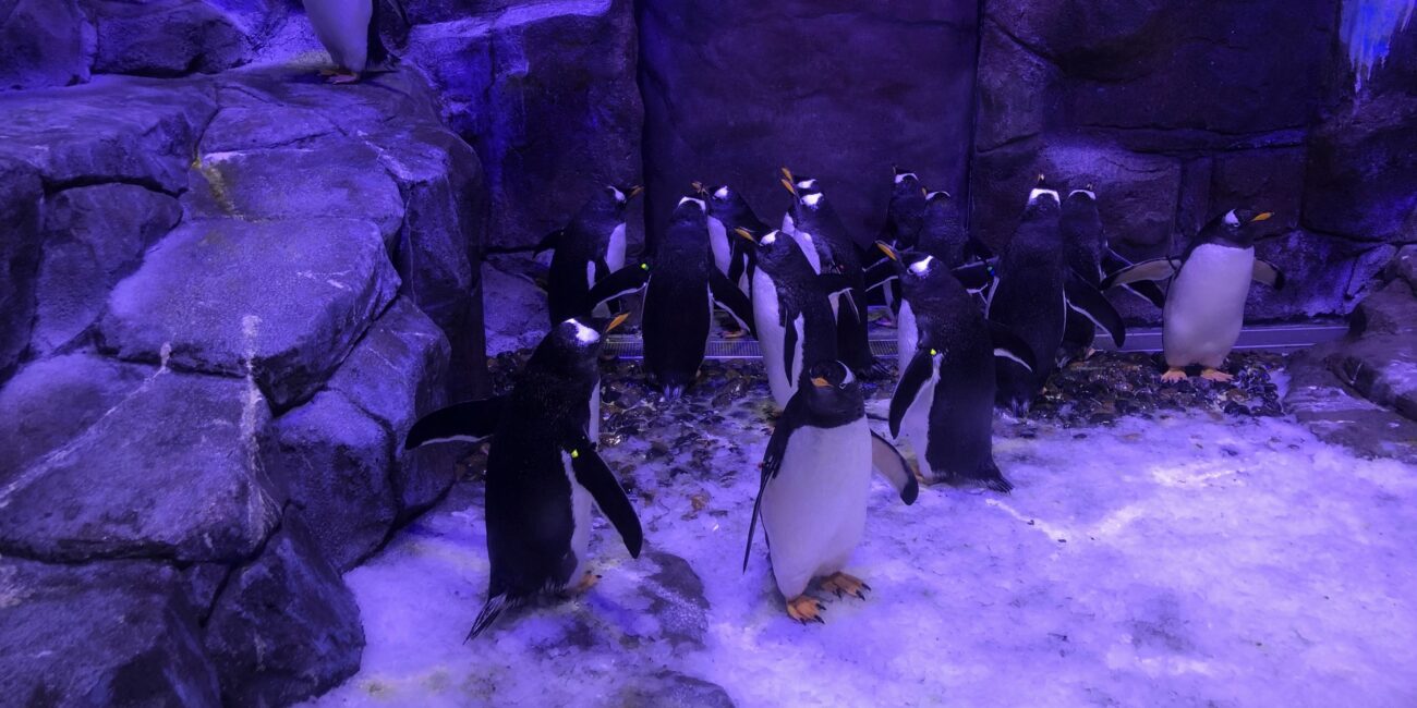 UAE, Dubai Attractions