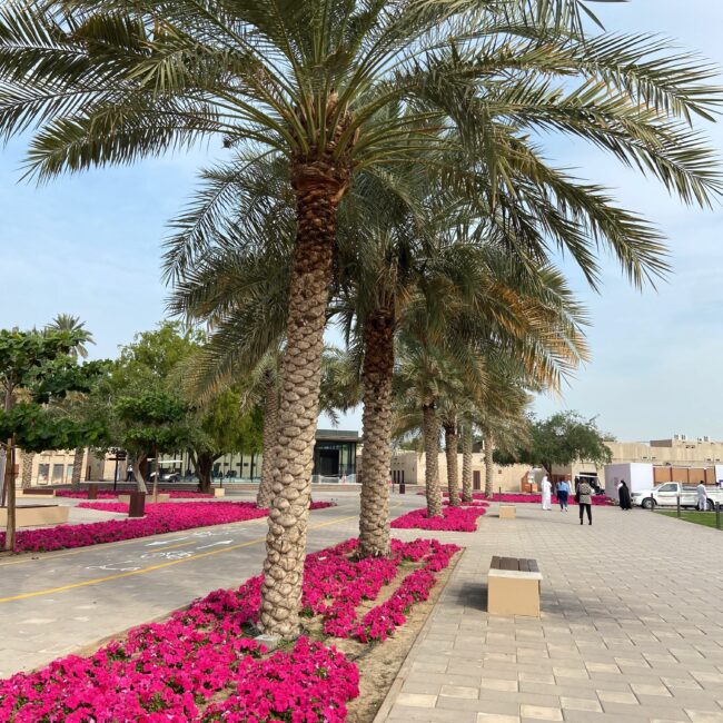 UAE, Dubai Article photos