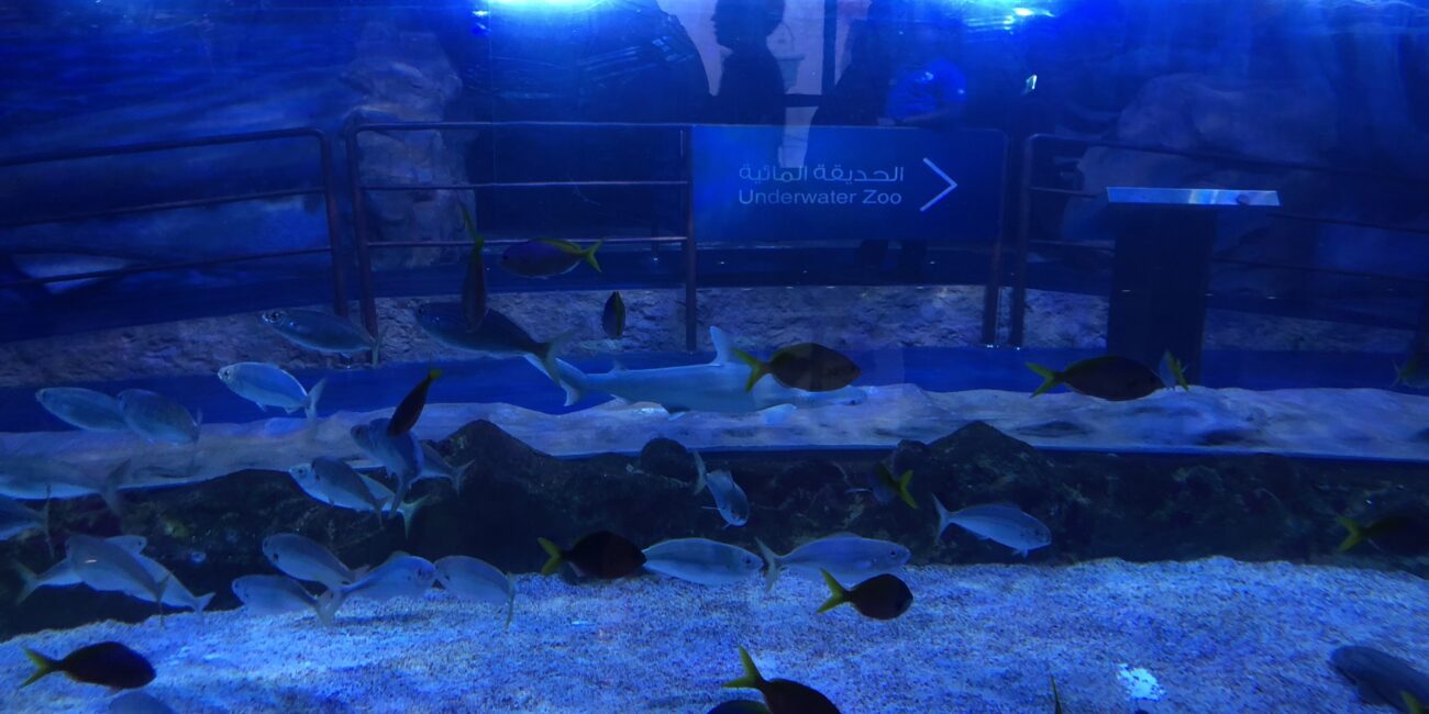 UAE, Dubai Attractions