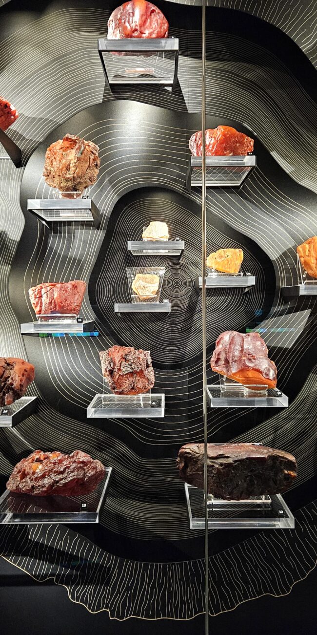 Poland, Gdansk Amber Museum