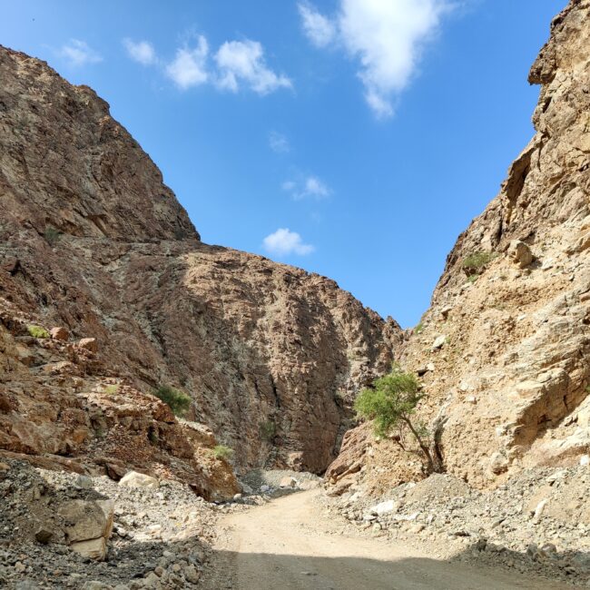 UAE, Nahwa Article photo