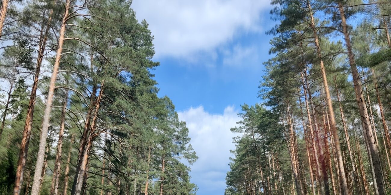 Lithuania, Road Article photo