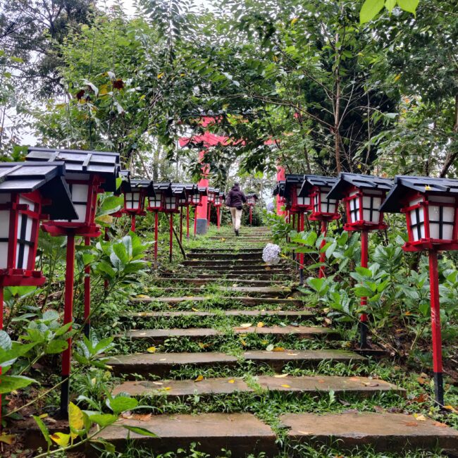 Vietnam, Da Lat Kokoro cà phê