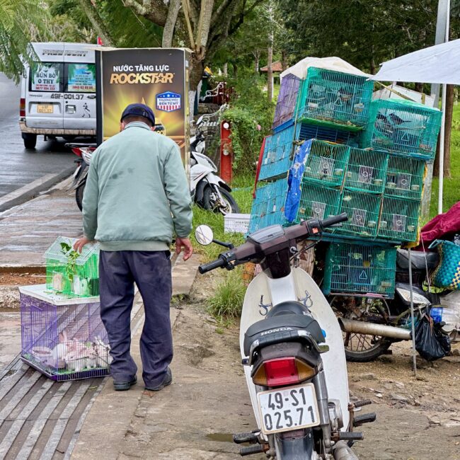 Vietnam, Da Lat Article photo