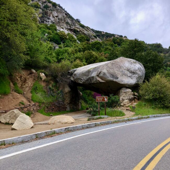 USA, Sequoia National Park Article photo
