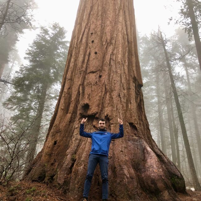 USA, Sequoia National Park Article photo