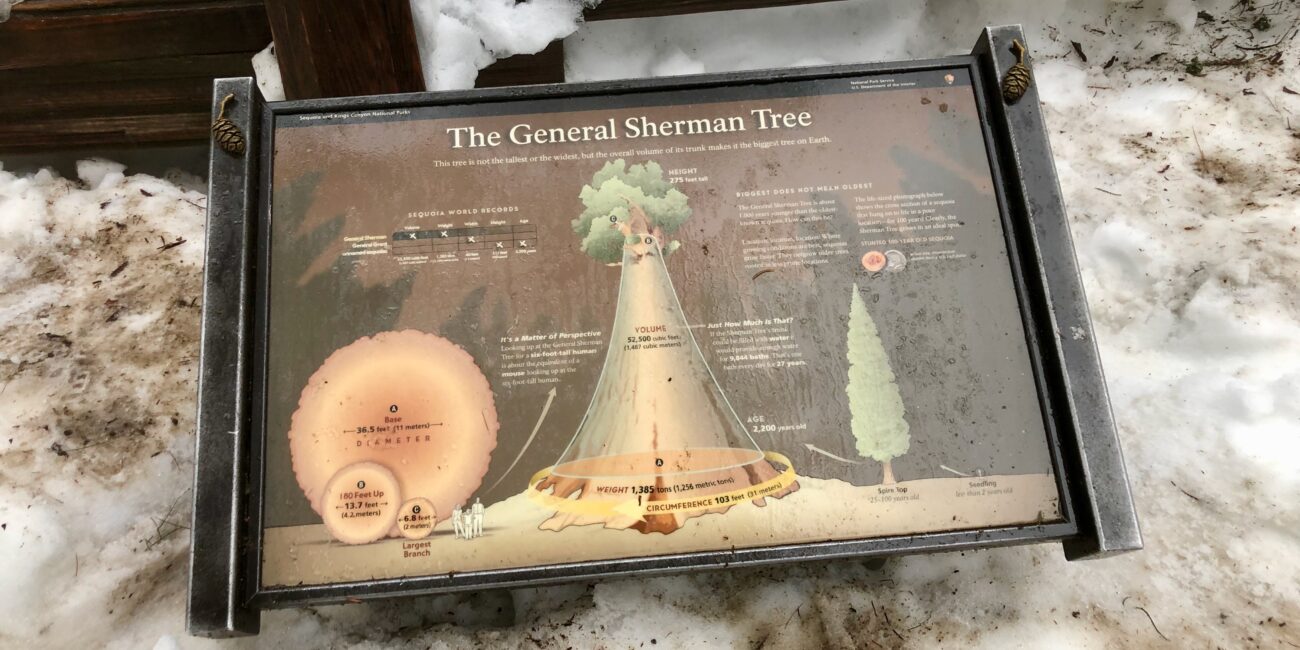 USA, Sequoia National Park Article photo