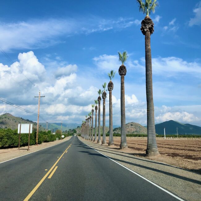 USA, California Article photos