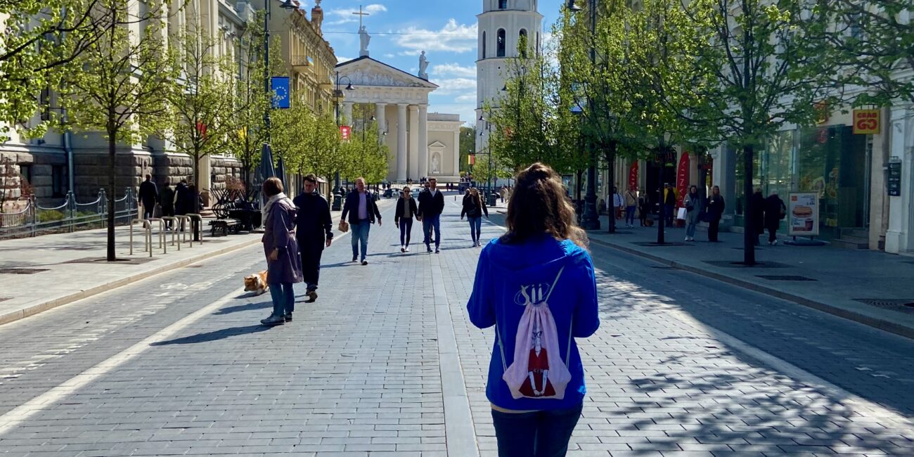 Lithuania, Vilnius Article cover