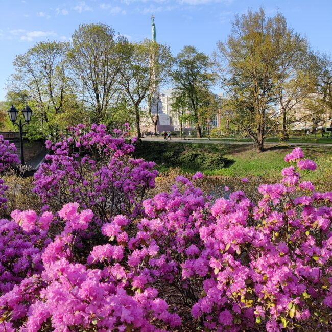 Latvia, riga freedom monument