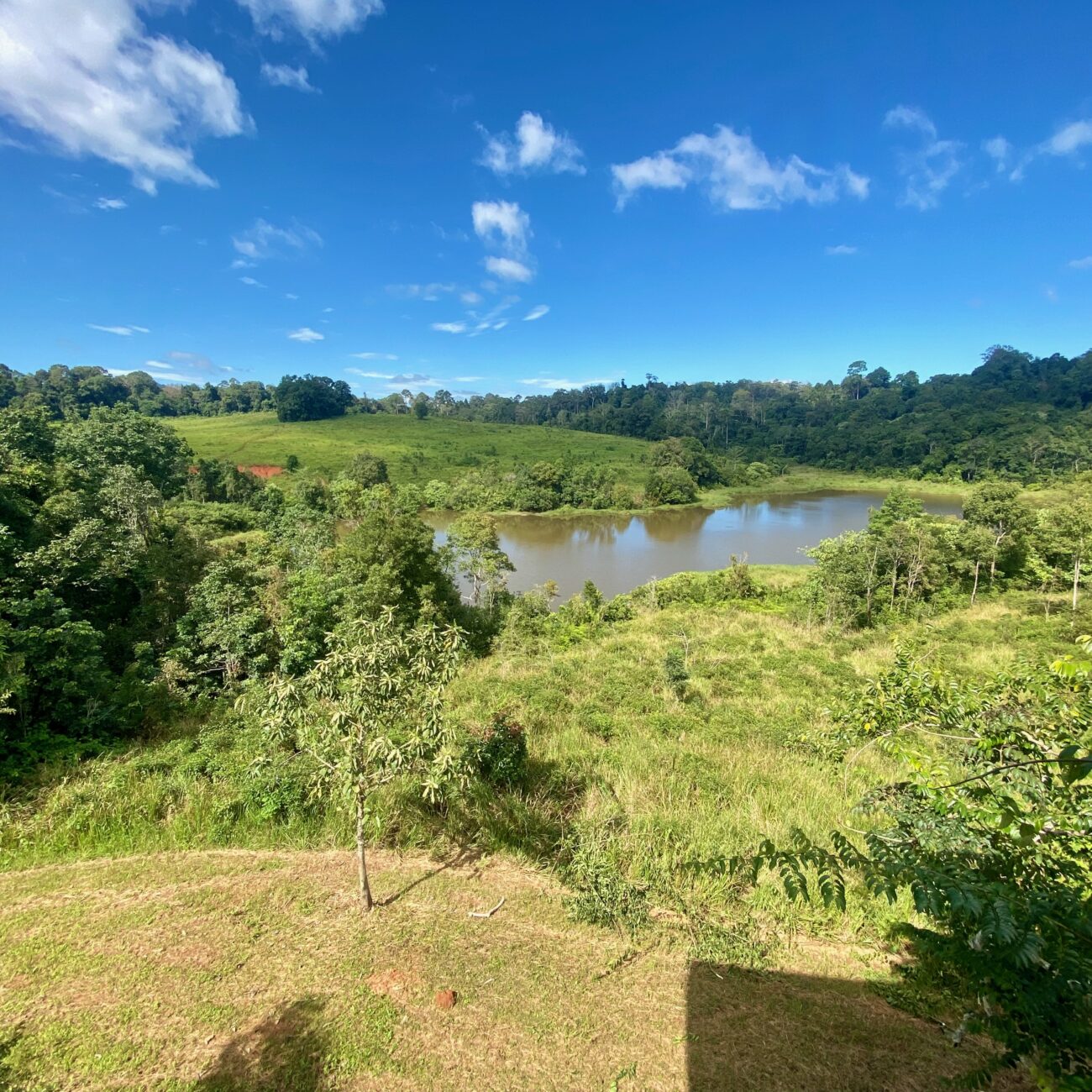 Thailand, Khao Yai National Park Article photo