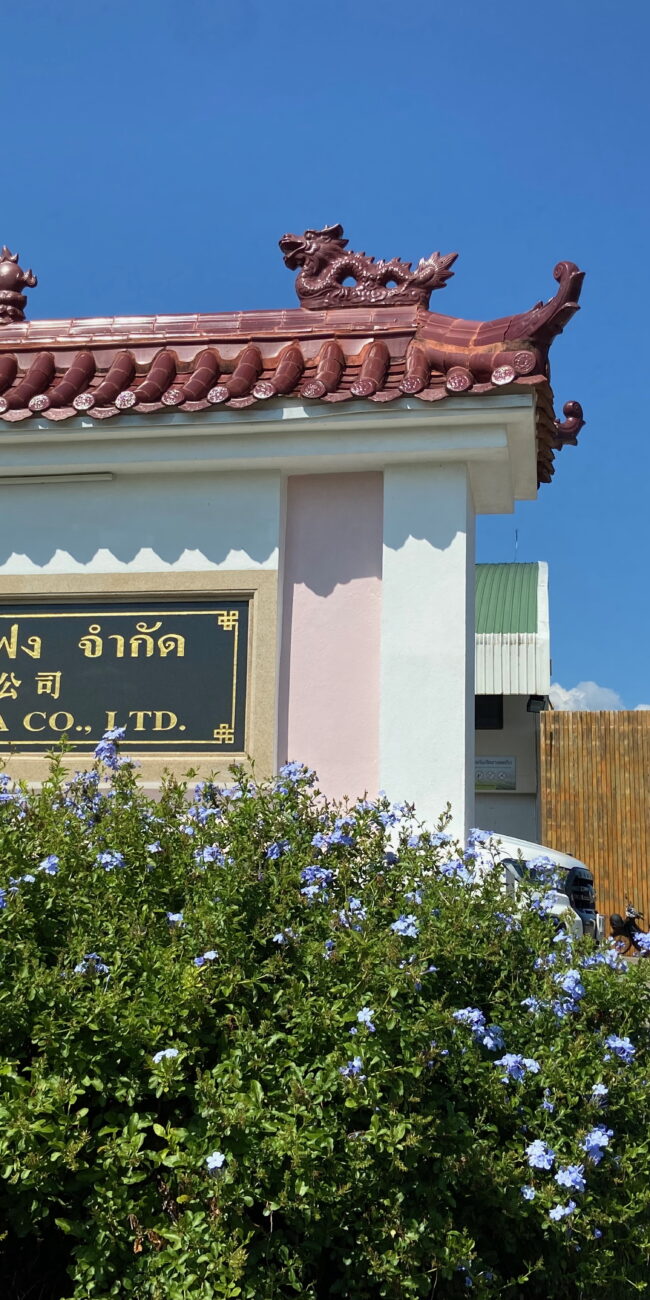 Thailand, Chiang Rai Choui Fong Tea