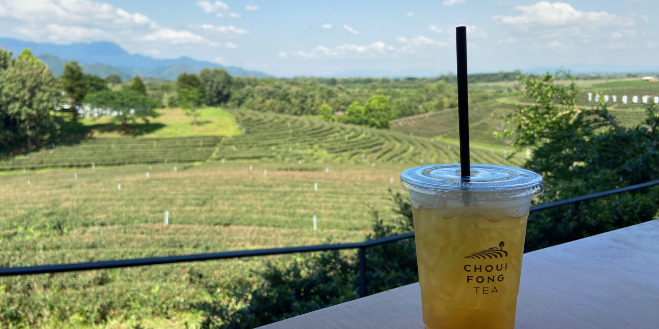 Thailand, Chiang Rai Choui Fong Tea