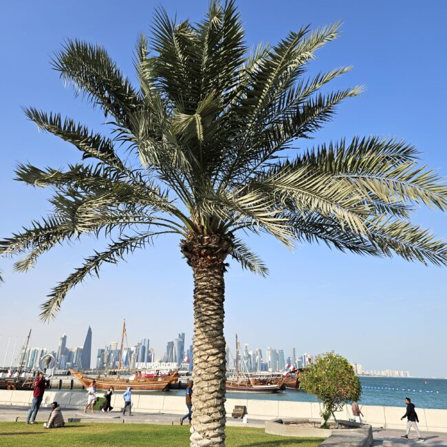 Qatar, Doha Souq Wawif Park