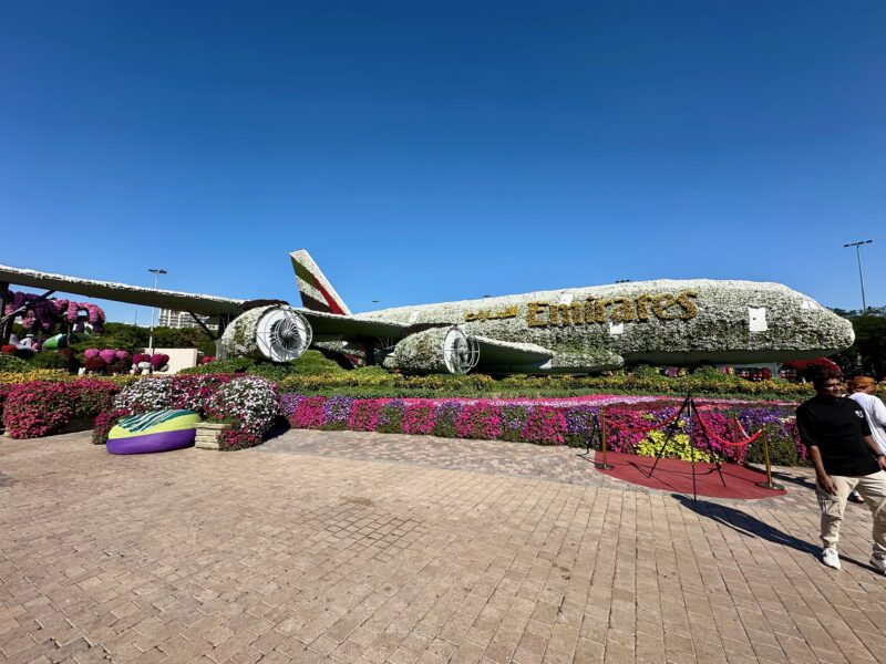 Kwiatowa instalacja samolotu emirates w dubaju