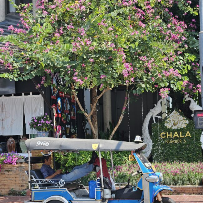 Thailand, Chiang Mai Article photo