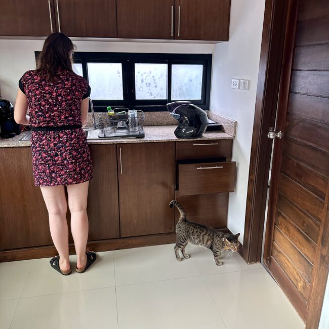 Thailand, Phuket Accomodation