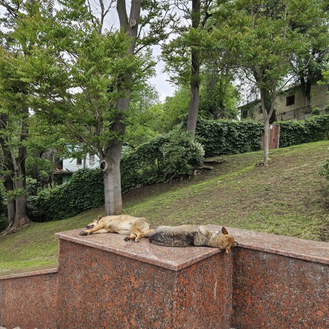 Moldova, Chișinău Valea Park Morilor