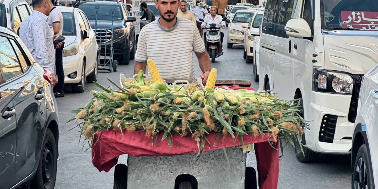 Iraq, erbil city view