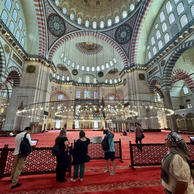 Turkey, istanbul suleymaniye camii