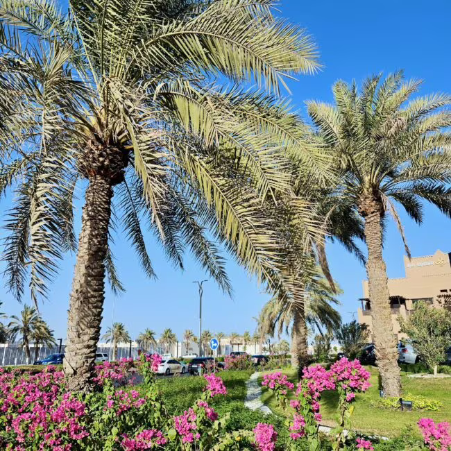 Kuwait, city waterfront