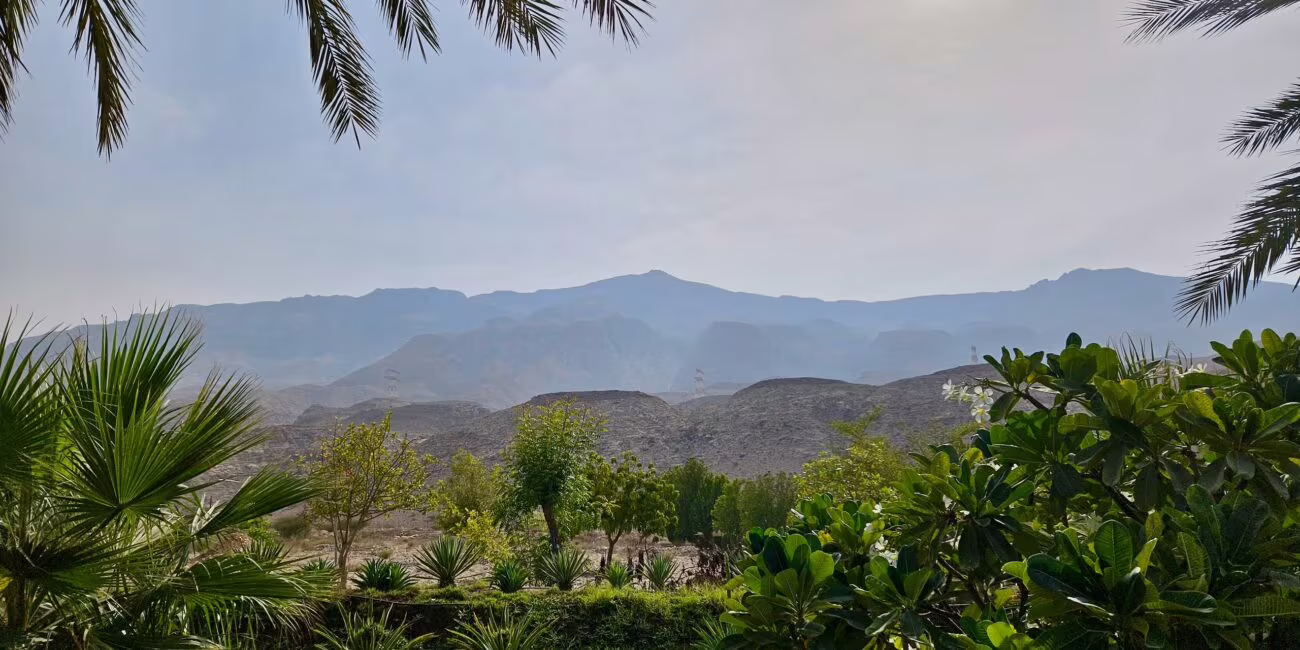 Oman, garden in somewhere