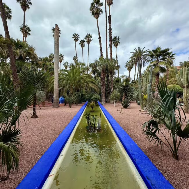 Wąska zielono-niebieska fontanna w ogrodzie z palmami i kaktusami, żwirowa ścieżka i bogata roślinność, pod chwiającym niebem.