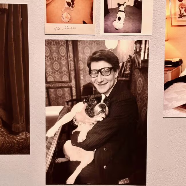 Mężczyzna w okularach trzyma ogromnego bulldoga w eleganckim garniturze, w retro wnętrzu z oryginalnym wzorzystym tłem.