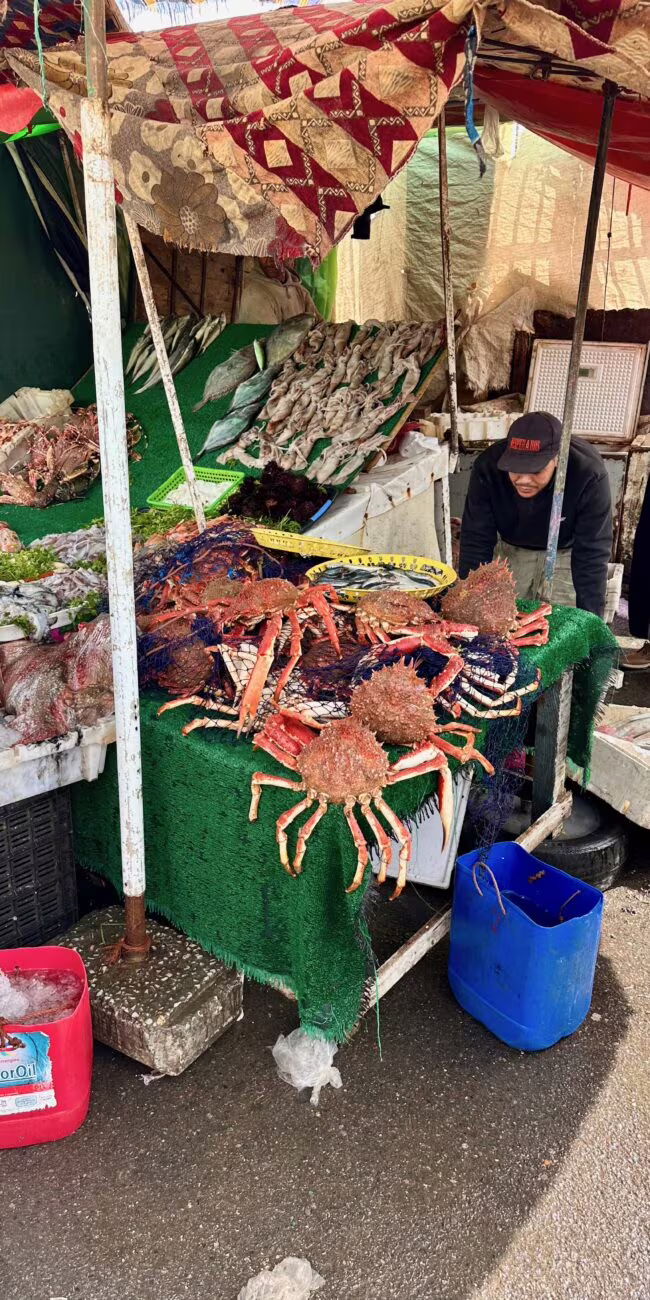 Port w essaouirze w maroku: stoisko z owocami morza, kraby i ryby na zielonym blacie